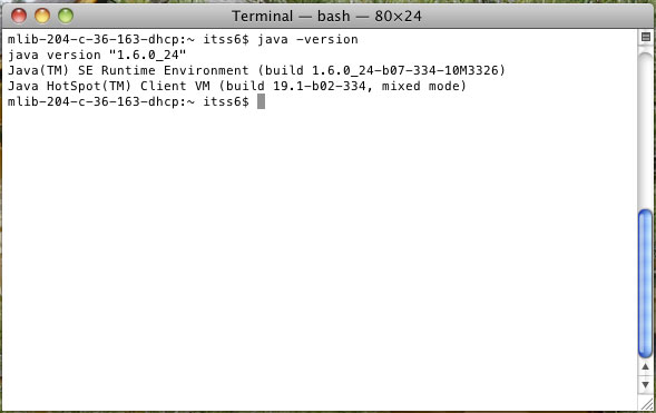 terminal bash